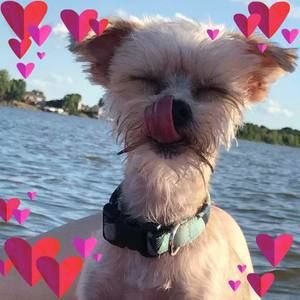 Meet your Posher, Margaret